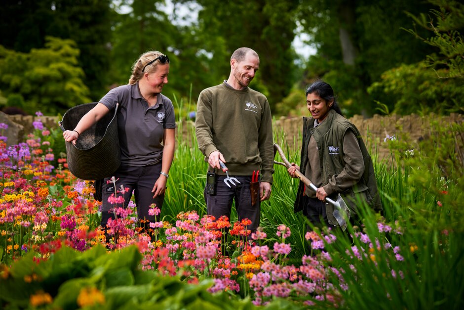 RHS Apprentice gardeners working in the gardens